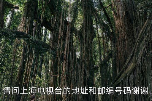 請問上海電視臺的地址和郵編號碼謝謝