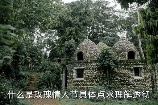 情人節(jié)玫瑰，情人節(jié)送玫瑰有含義是否送的越多越好呢