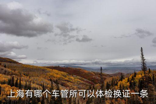 上海市駕駛員換證體檢中心，上海換發駕照體檢在哪兒