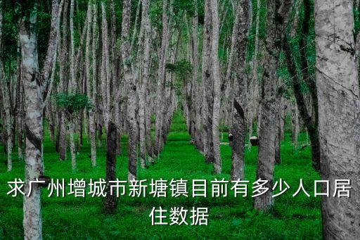 求廣州增城市新塘鎮目前有多少人口居住數據