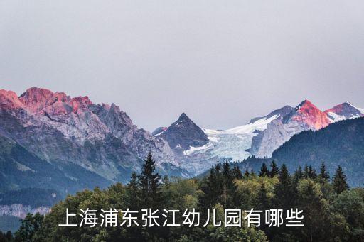 上海市浦東張江園幼兒園排行，上海浦東張江幼兒園有哪些