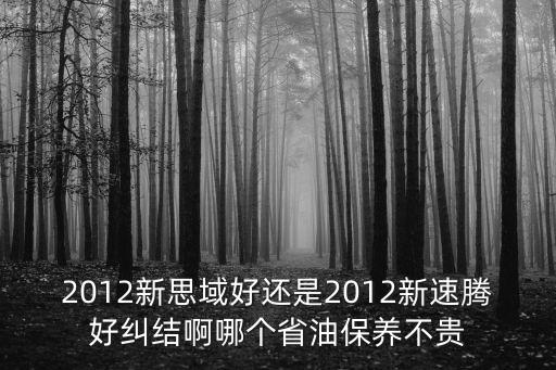 2012新思域好還是2012新速騰好糾結啊哪個省油保養不貴