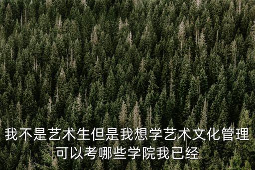 我不是藝術生但是我想學藝術文化管理可以考哪些學院我已經