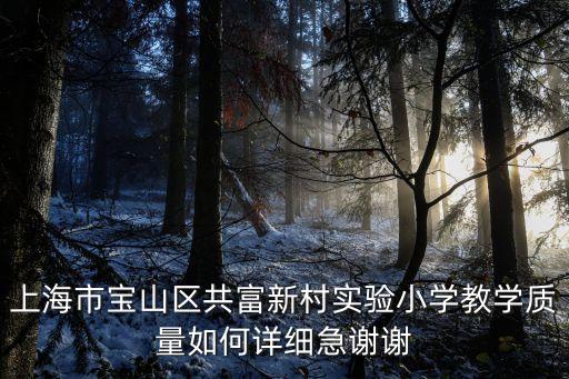 上海市共富實驗學校升學統計，上海虹口名辦高中的升學率是什么情況