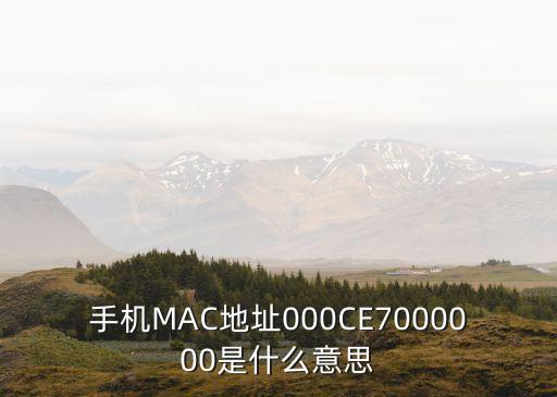 手機(jī)MAC地址000CE7000000是什么意思