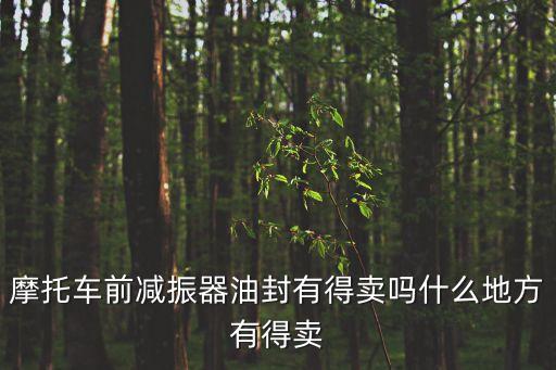 廣州摩托跑車減震器油封供應(yīng)商，隆鑫110一3摩托車前減震油封26X17x103多少錢一個(gè)