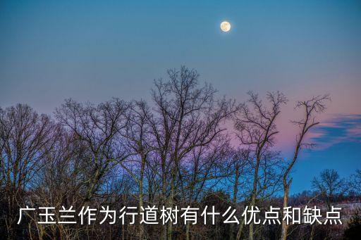 廣玉蘭樹，廣玉蘭作為行道樹有什么優點和缺點