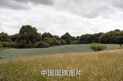 廣州國旗圖片大全，每一個國家的名稱國旗的圖片