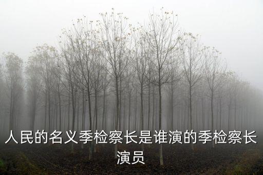 季檢察長，人民的名義季檢察長是誰演的季檢察長演員