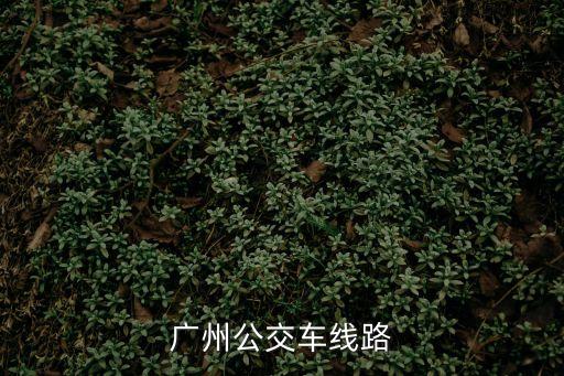廣州公交車(chē)線路
