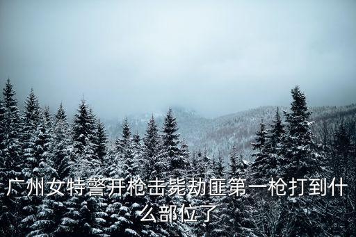 廣州人質劫持女便衣，女便衣擊斃劫持人質男子一案中歹徒何人