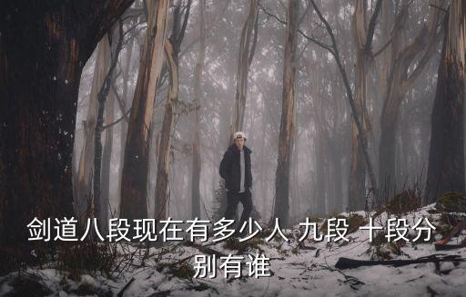 廣州劍道九段有幾人，劍道有幾段 還是用其他形式分高低