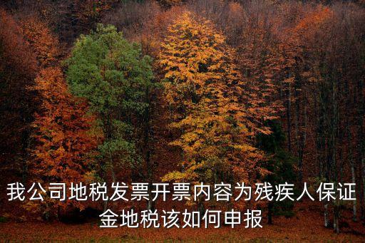 我公司地稅發票開票內容為殘疾人保證金地稅該如何申報