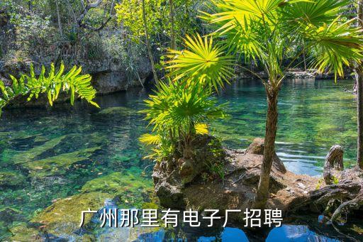 廣州那里有電子廠招聘