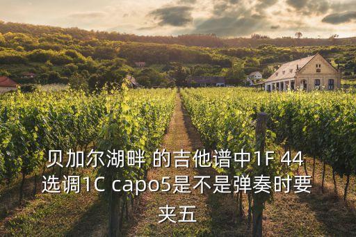 貝加爾湖畔吉他，貝加爾湖畔 的吉他譜中1F 44 選調1C capo5是不是彈奏時要夾五