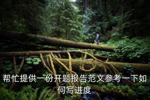幫忙提供一份開題報告范文參考一下如何寫進度