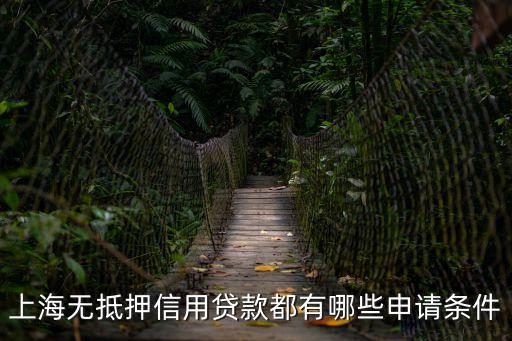2017年上海市信用工作要點，在上海無抵押信用貸款如何申請