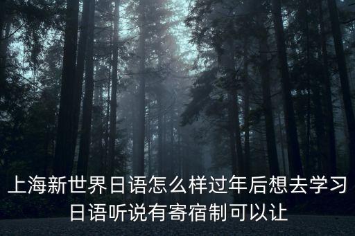 上海新世界日語怎么樣過年后想去學(xué)習(xí)日語聽說有寄宿制可以讓