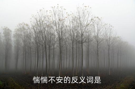 忐忑不安的反義詞，忐忑不安的反義詞是什么