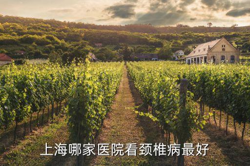上海哪家醫(yī)院看頸椎病最好