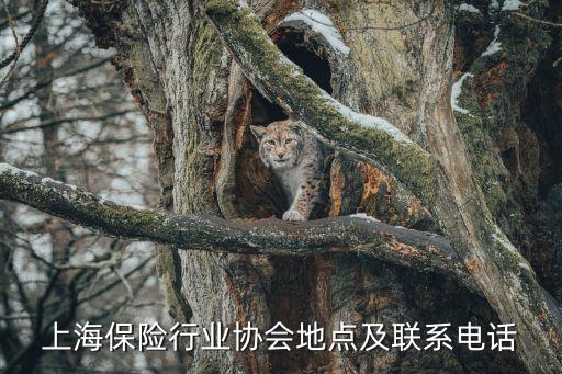 上海市行業(yè)協(xié)會地址，上海保險行業(yè)協(xié)會地點及聯(lián)系電話