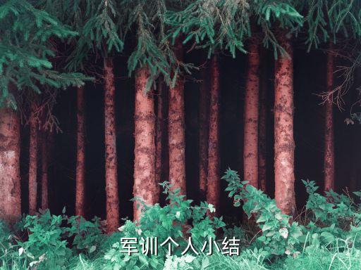大學軍訓個人小結，軍訓個人小結