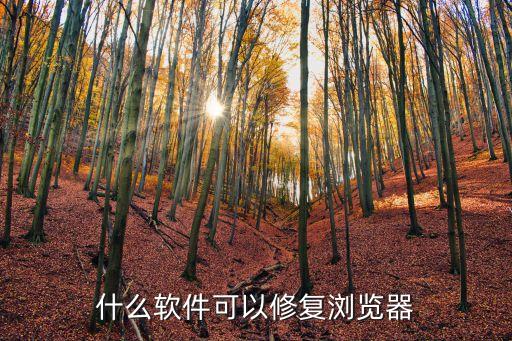 瀏覽器修復(fù)工具，什么軟件可以修復(fù)瀏覽器