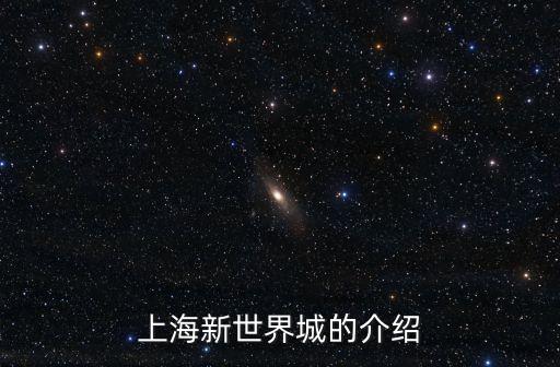 上海新世界城的介紹