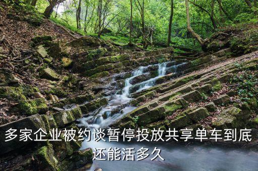 上海市 共享單車 意見，你對共享單車亂停損壞私占問題的意見