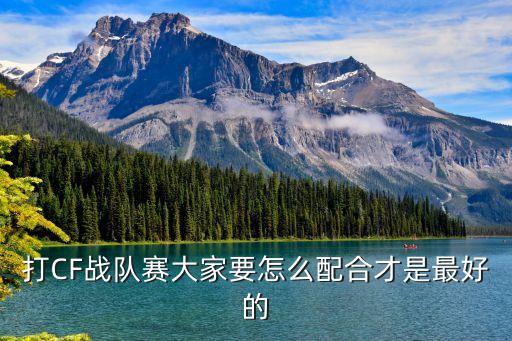 賽大家，羅納爾多告別賽大家有誰知道呀