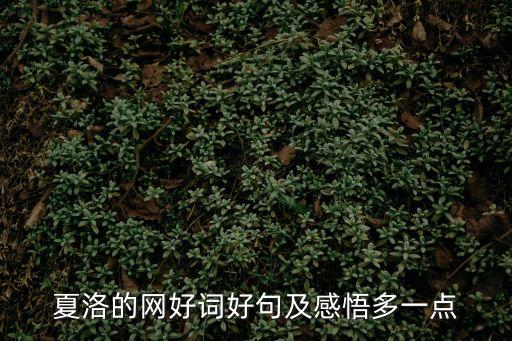 夏洛的網好詞好句及感悟多一點