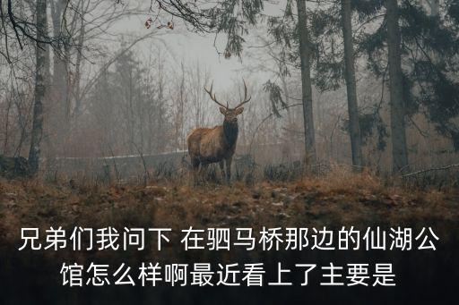 廣州佛山仙湖公寓，兄弟們我問下 在駟馬橋那邊的仙湖公館怎么樣啊最近看上了主要是