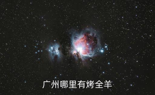廣州哪里有烤全羊