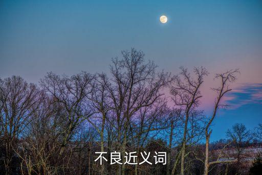 不良近義詞