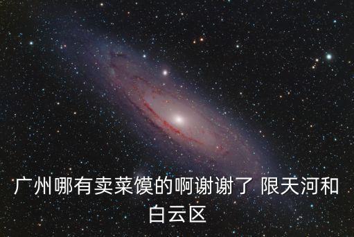 廣州哪有賣(mài)菜饃的啊謝謝了 限天河和白云區(qū)