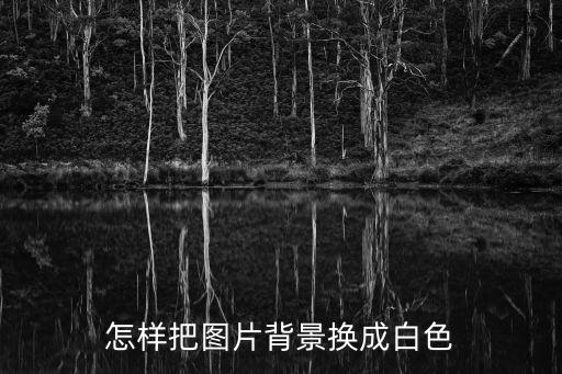 圖片白色背景，我想找一張做空間背景的圖片白色為主