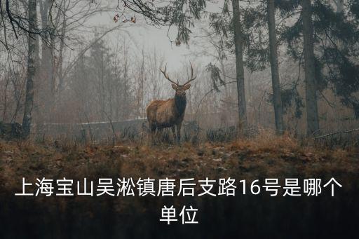 上海寶山吳淞鎮唐后支路16號是哪個單位