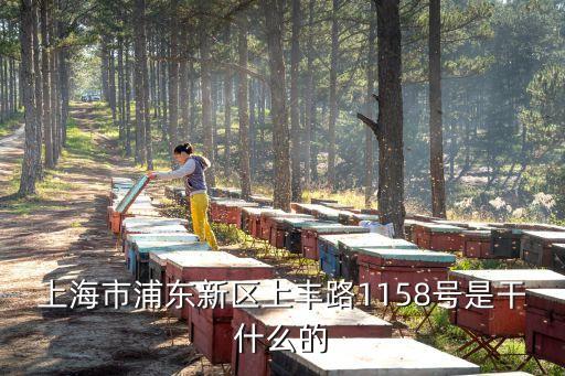 上海市三林印象城，上海市浦東新區上豐路1158號是干什么的
