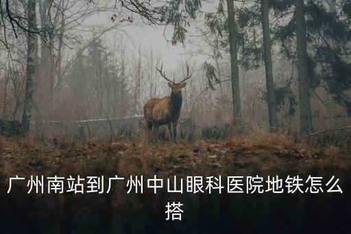 廣州南站到廣州中山眼科醫院地鐵怎么搭