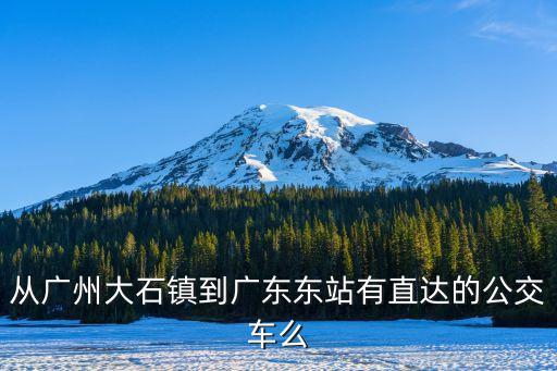 番禺大石鎮(zhèn)禮村到廣州東站，從廣州大石鎮(zhèn)到廣東東站有直達的公交車么