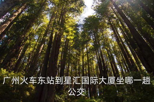 廣州火車東站到星匯國際大廈坐哪一趟公交