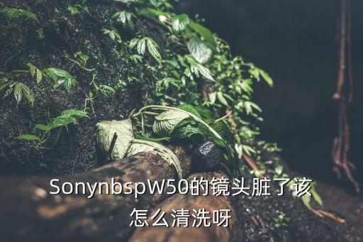 上海市索尼數碼鏡頭清洗，索尼數碼相機鏡頭進灰塵了怎么處理