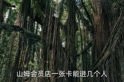 廣州番禺山姆會員店模式，番禺區經營模式是倉儲式會員店的零售業有哪些
