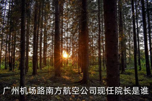 廣州機場路南方航空公司現(xiàn)任院長是誰
