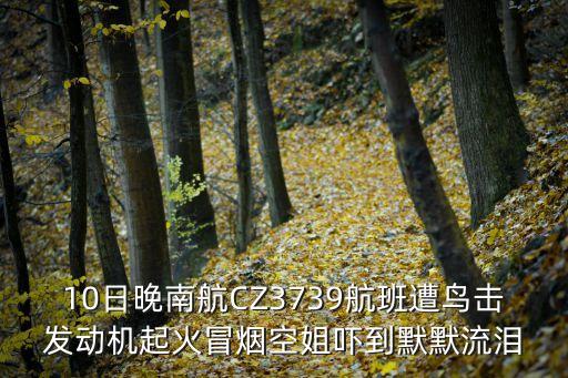 廣州南航新區新聞，中國南方航空