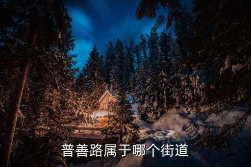 上海市普善路958弄所屬街道，普善路屬于哪個街道