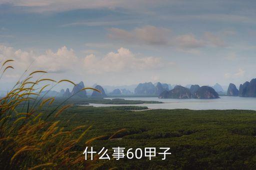60甲子，六十甲子是什么