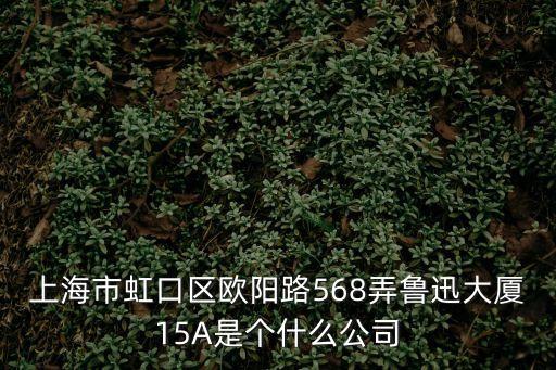 上海市市抗震辦，上海市抗震辦在哪