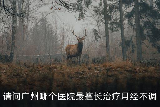 請問廣州哪個(gè)醫(yī)院最擅長治療月經(jīng)不調(diào)