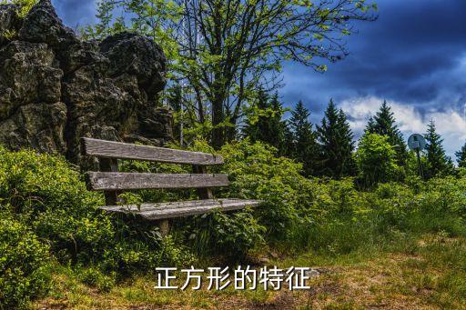 正方形的特征，正方形的特點(diǎn)